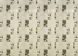 Bedroom, Living & Dining Room Wall Tiles - SR Marble