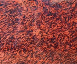Tiger Red Granite Slab